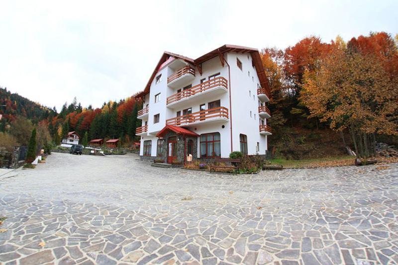 Hotel Paltinis Statiunea Exterior foto